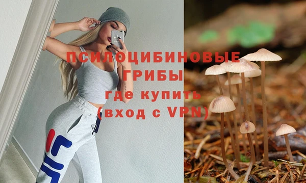 прущие крисы Армянск